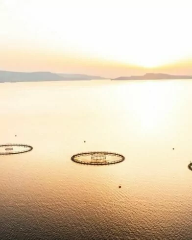 Zrównoważone połowy w trosce o środowisko naturalne